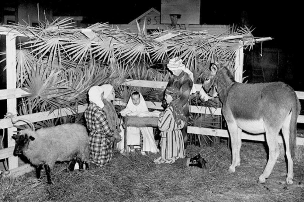 Children performing manger scene with live animals