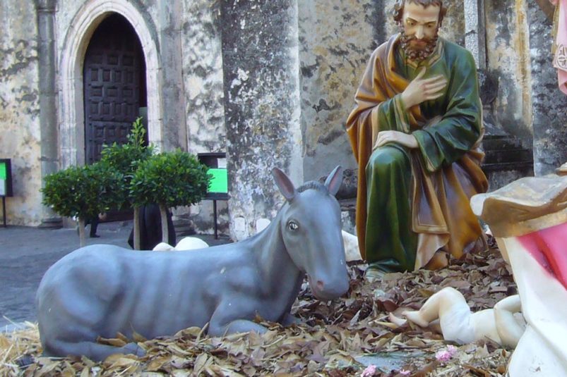 Large outdoor nativity display with animals
